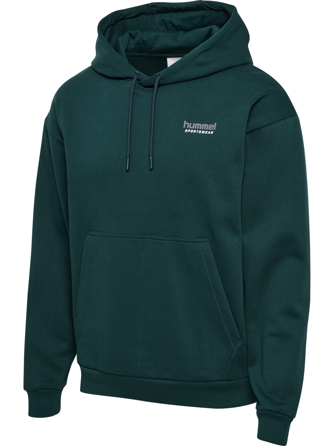 hmlLOOSE HOODIE SPORTSWEAR, PONDEROSA PINE, packshot