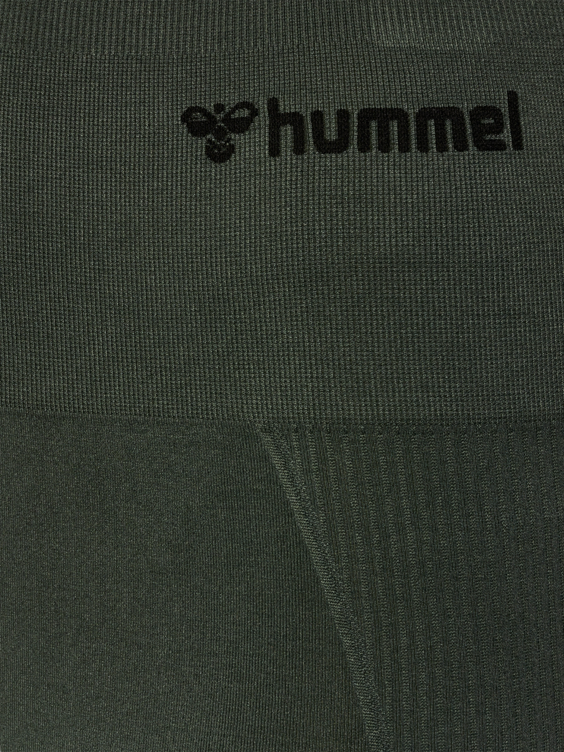 hmlTIF SEAMLESS HIGH WAIST TIGHTS, CLIMBING IVY, packshot