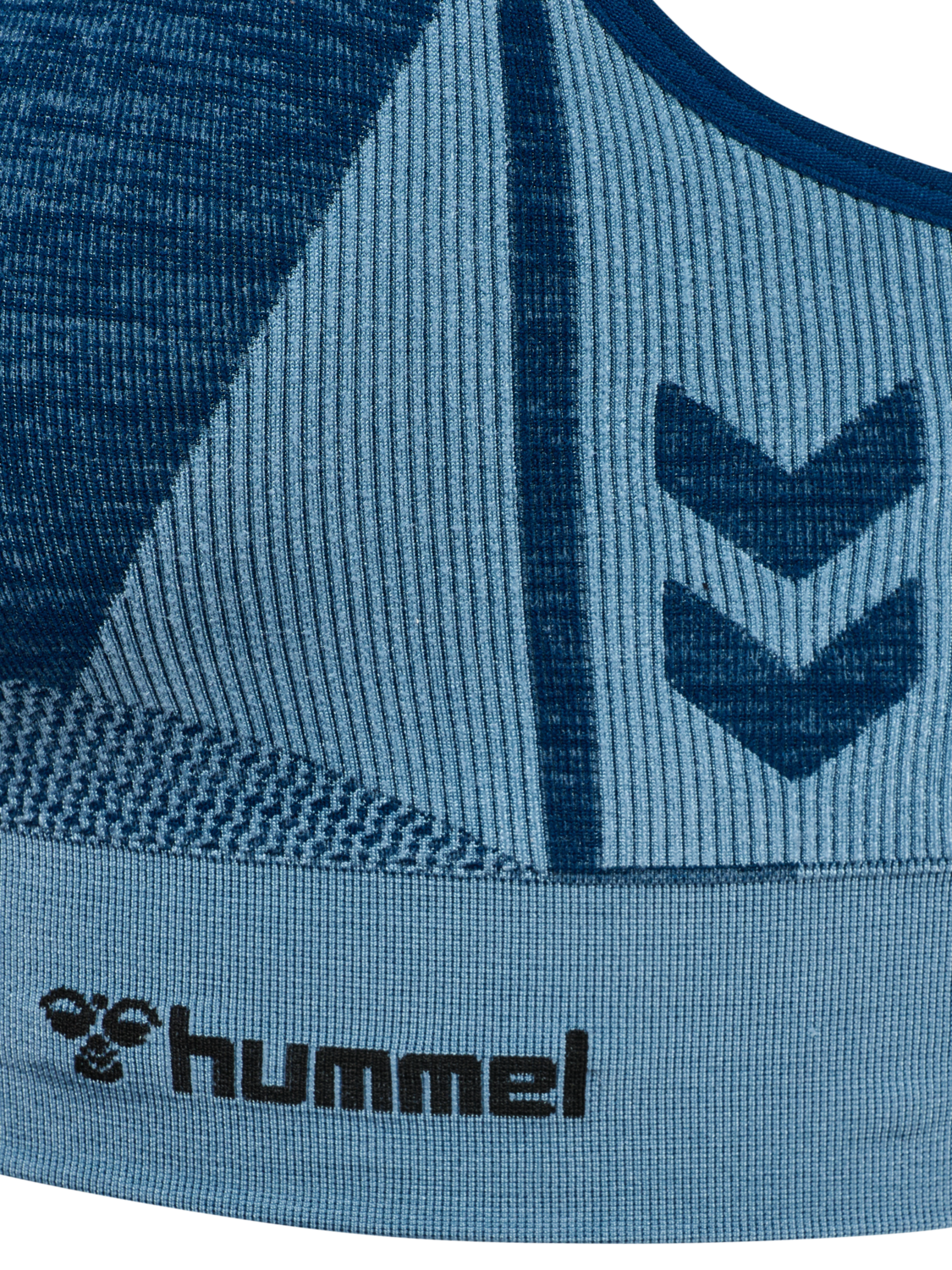 hmlCLEA SEAMLESS  SPORTS TOP, NAVY PEONY/FADED DENIM, packshot