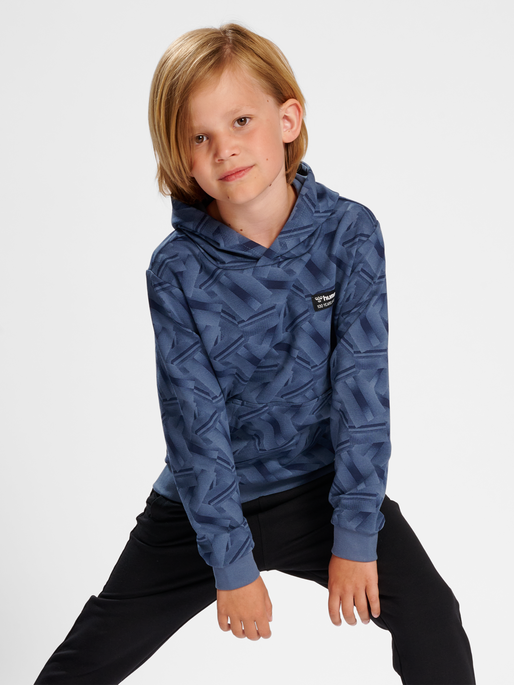 hmlRICHARDO HOODIE, 7050, model