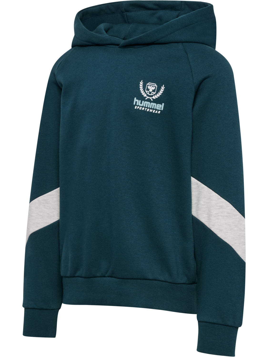 hmlJR LOOSE HOODIE BTS, REFLECTING POND, packshot