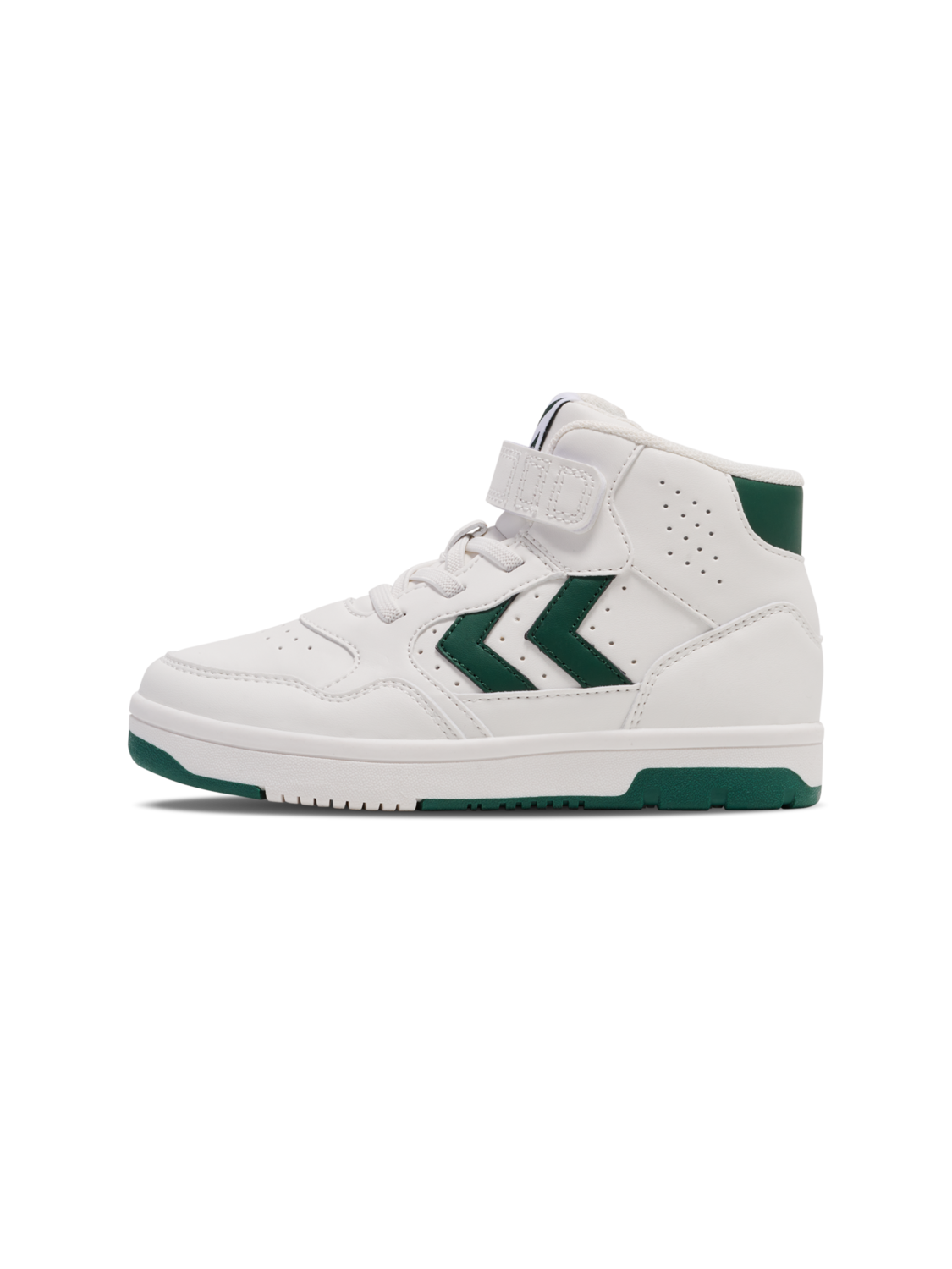 CAMDEN HIGH JR, GARDEN TOPIARY, packshot