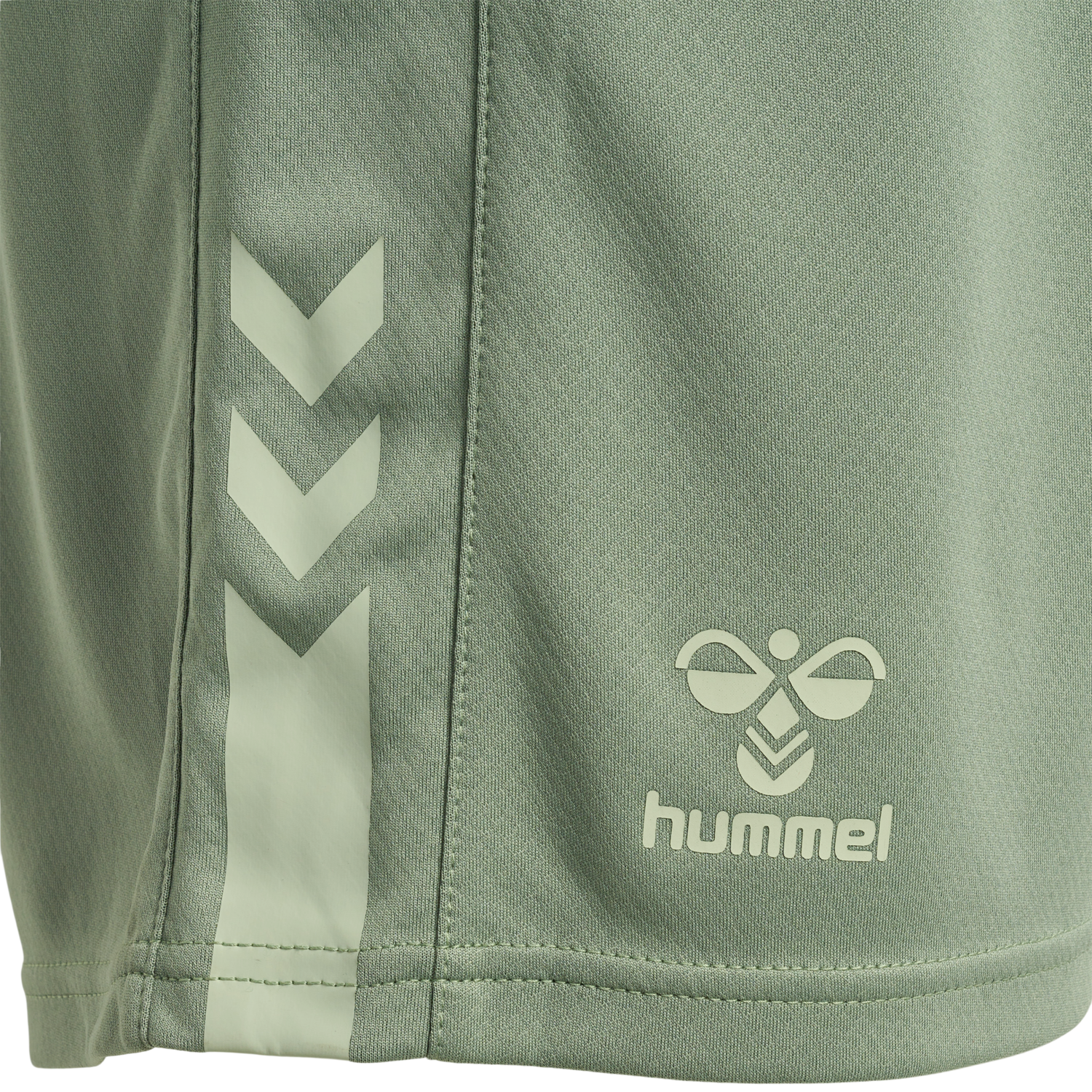 hmlACTIVE PL SHORTS WOMAN, SEA SPRAY, packshot