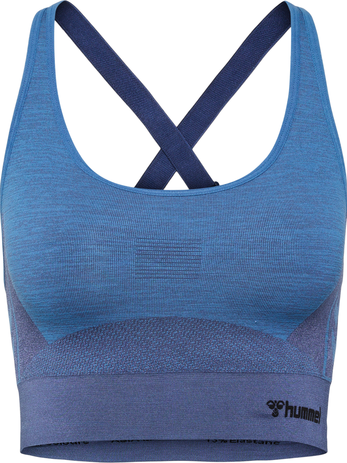 hmlCLEA SEAMLESS  SPORTS TOP, RIVIERA/INSIGNIA BLUE MELANGE, packshot