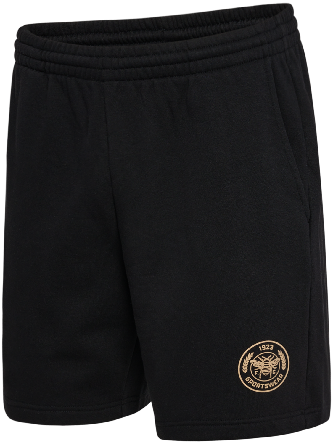 hmlSWARM SHORTS, BLACK, packshot