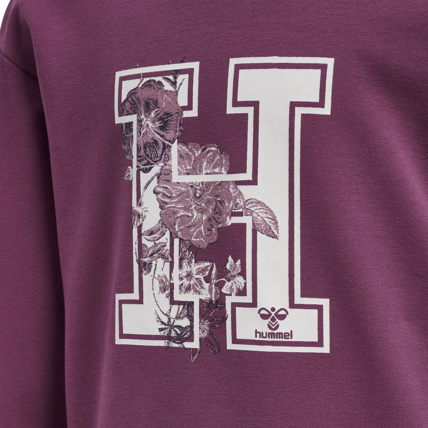 hmlASTROLOGY HOODIE, AMARANTH, packshot