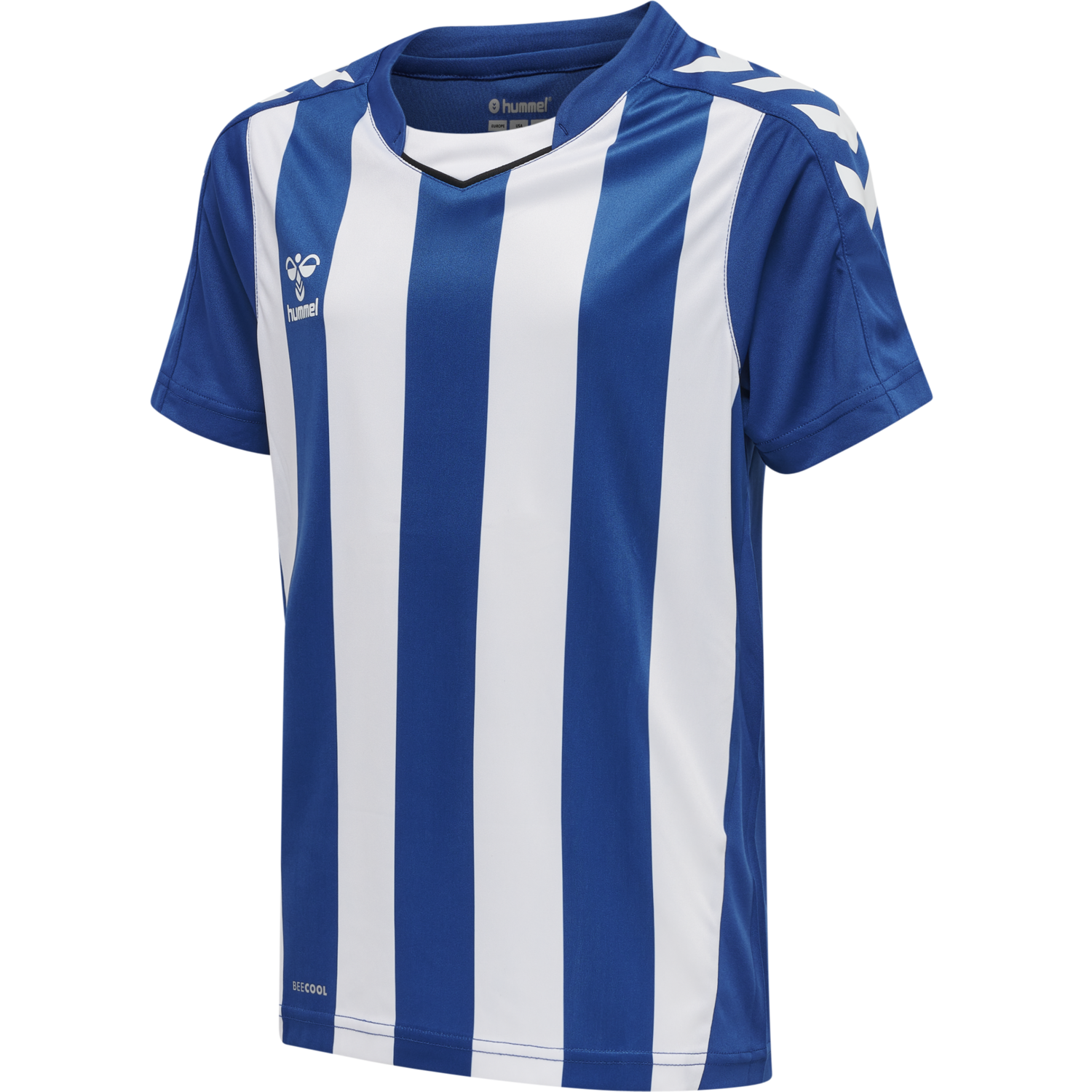 hmlCORE XK STRIPED JERSEY S/S KIDS, TRUE BLUE/WHITE, packshot