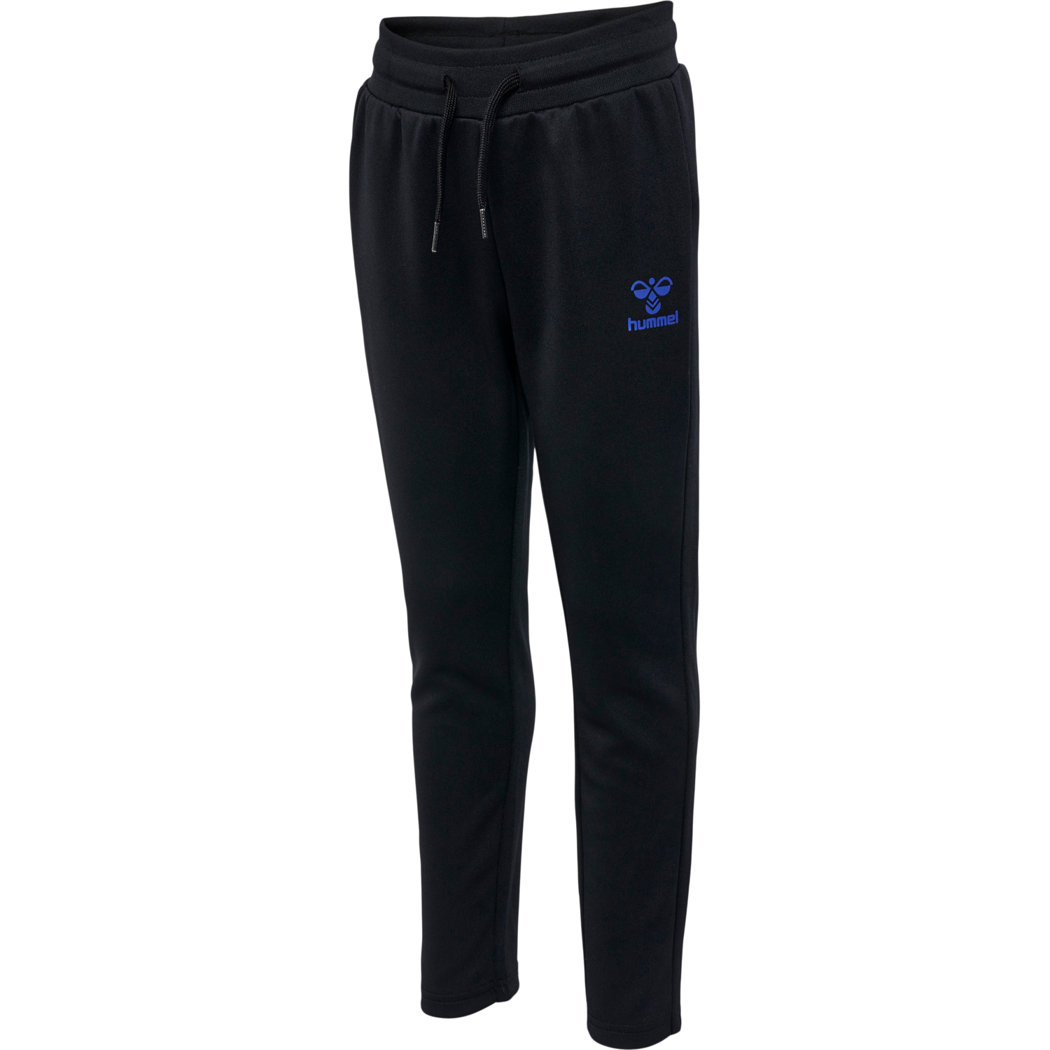 hmlMOLIN PANTS, 2566, packshot