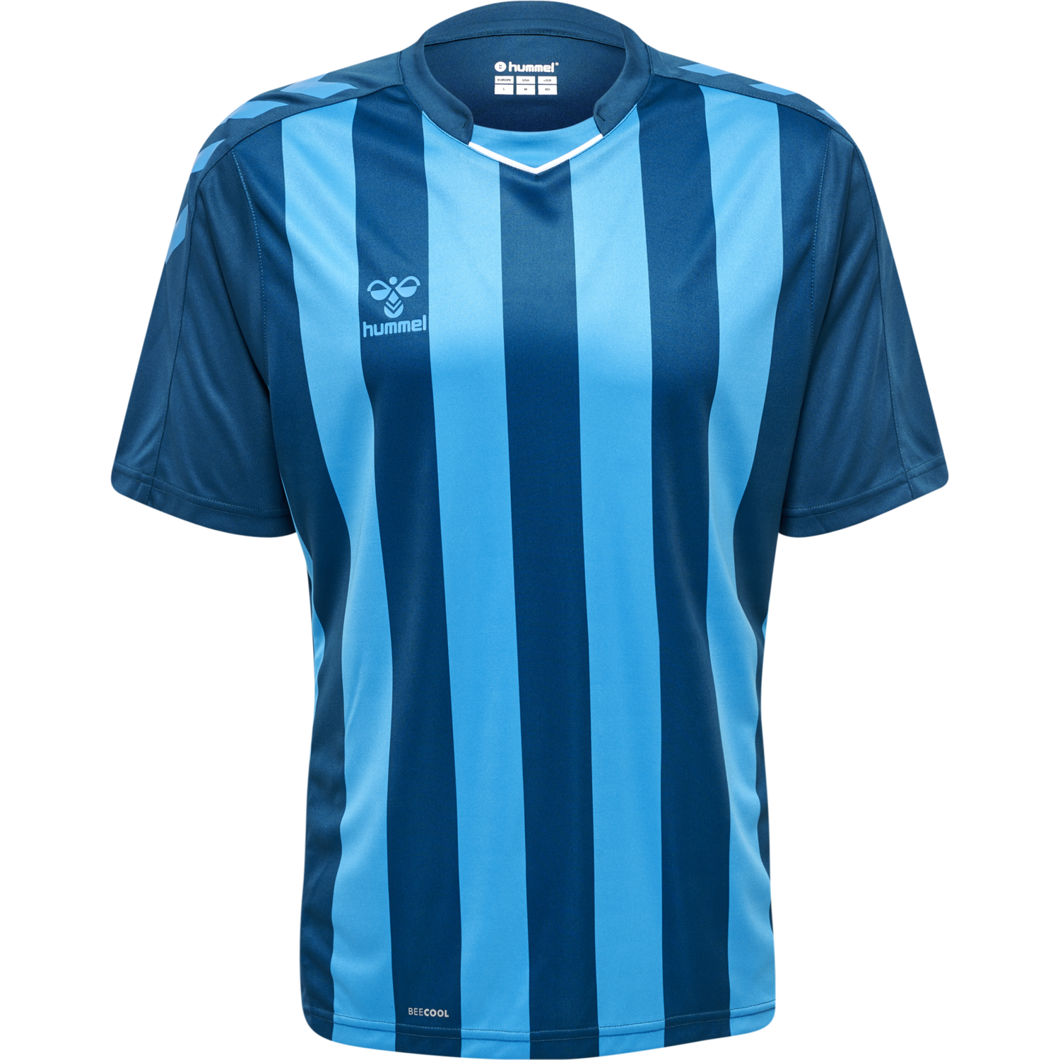 hmlCORE XK STRIPED JERSEY S/S, BLUE CORAL/BLUE DANUBE, packshot