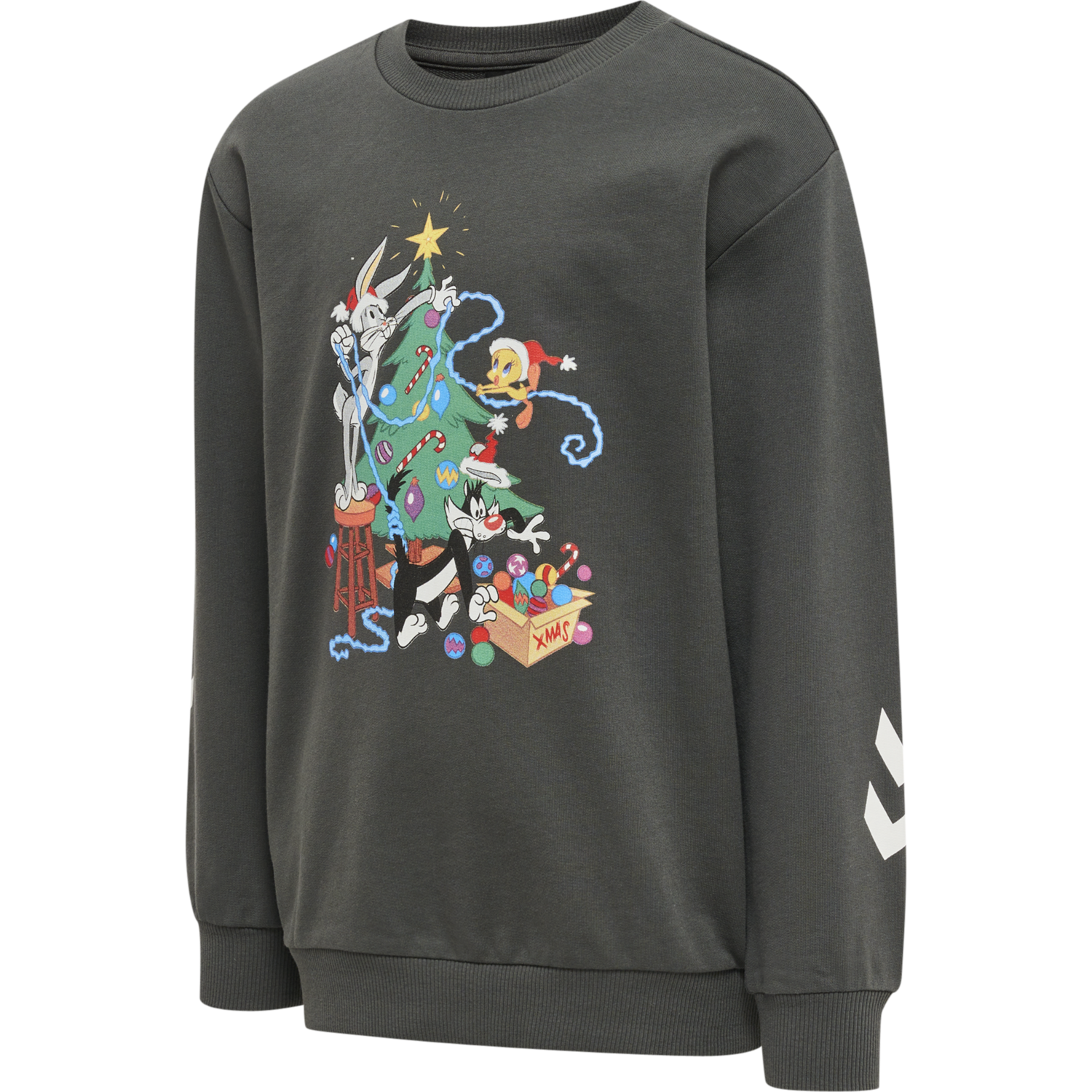 hmlBUGS BUNNY DOS SWEATSHIRT, DARK SHADOW, packshot