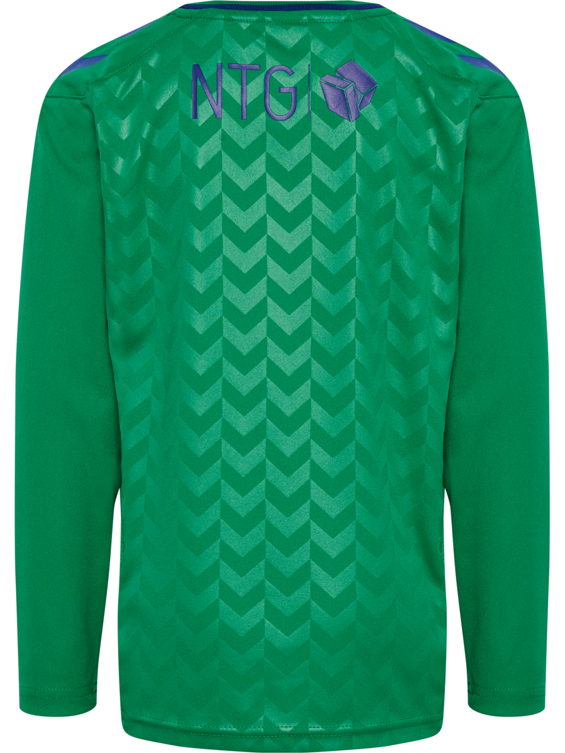BR&Oslash;NDBY 22/23 GK JERSEY L/S KIDS, JELLY BEAN, packshot