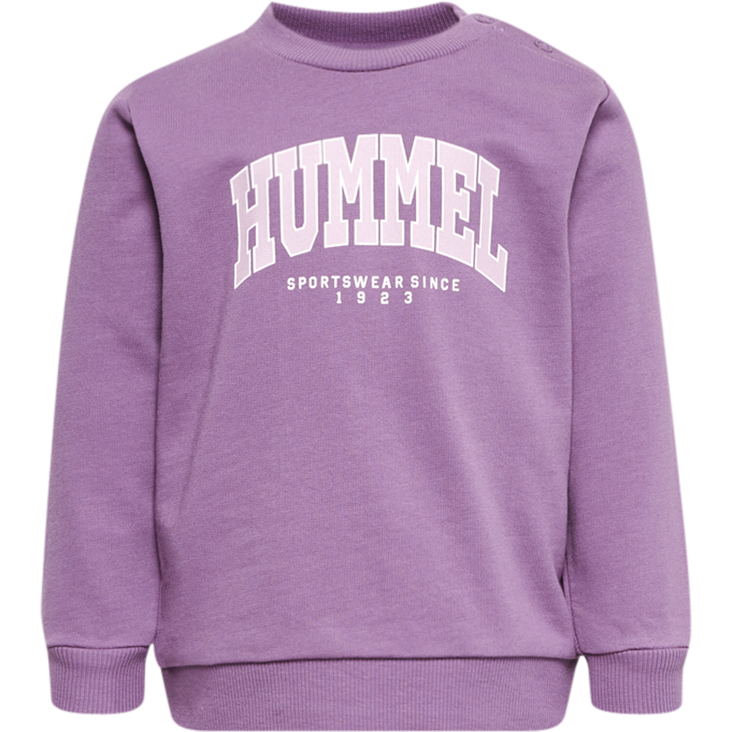 hmlFAST LIME SWEATSHIRT, ARGYLE PURPLE, packshot