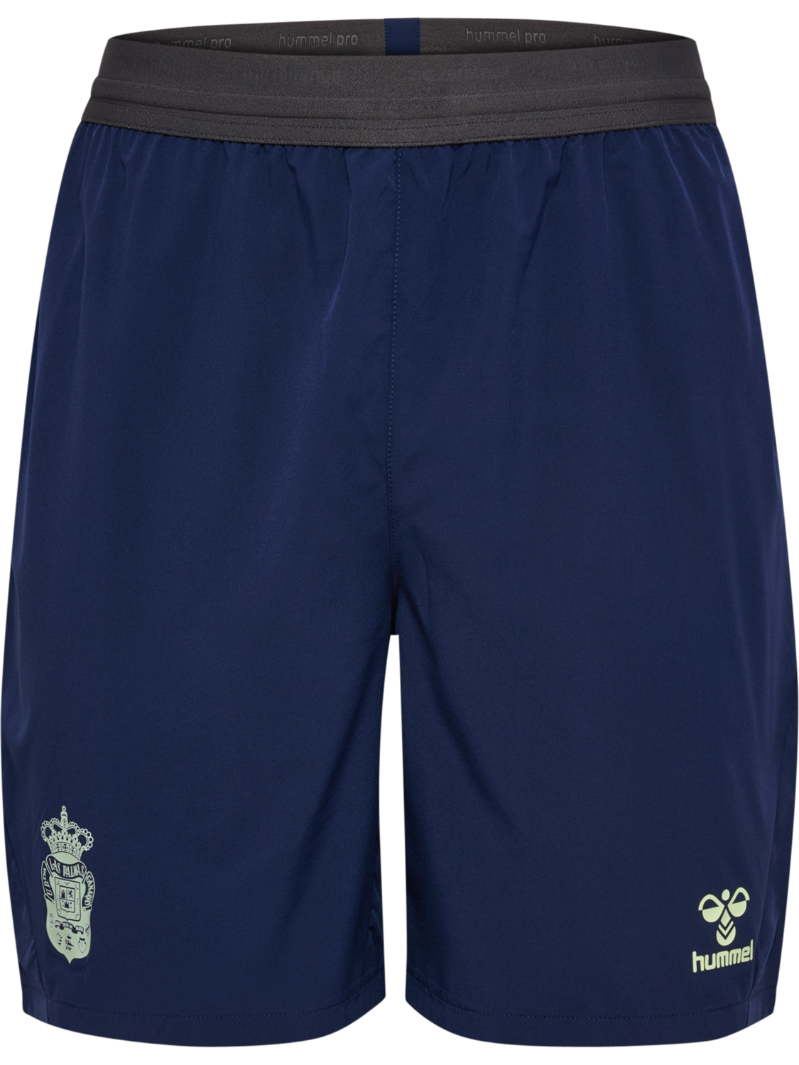 hmlPRO TRAINING SHORTS, !MARINE/PATINA GREEN, packshot