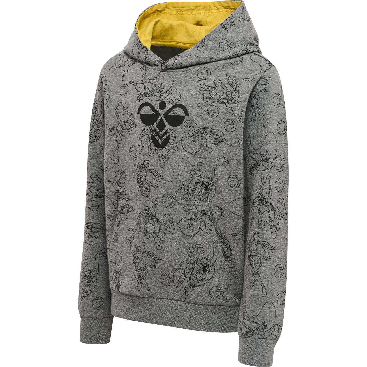 hmlSPACE JAM CUATRO HOODIE, MEDIUM MELANGE, packshot