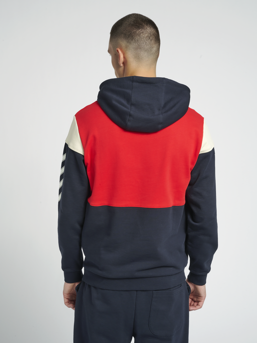 hmlWILLIAM BLOCKED HOODIE, 7381, model