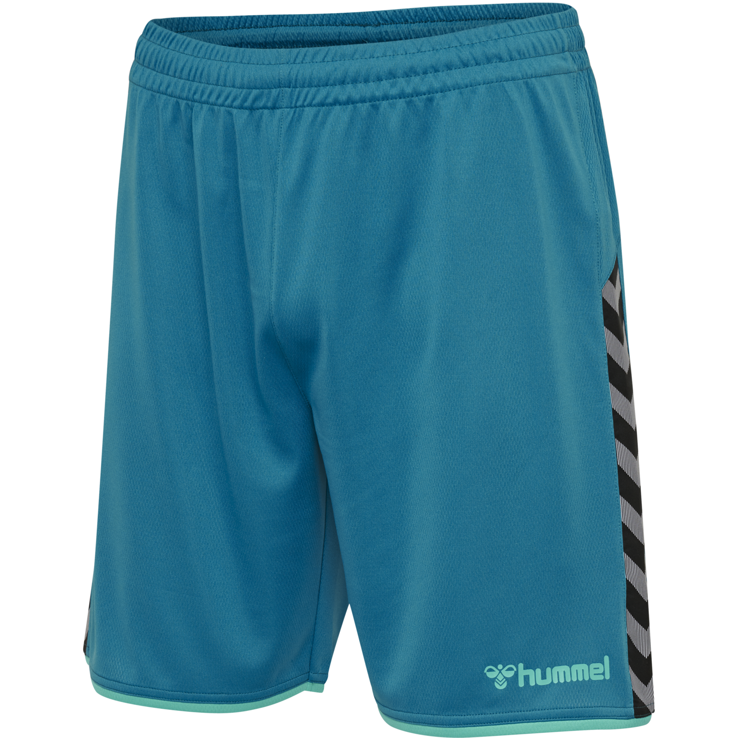 hmlAUTHENTIC POLY SHORTS, CELESTIAL, packshot