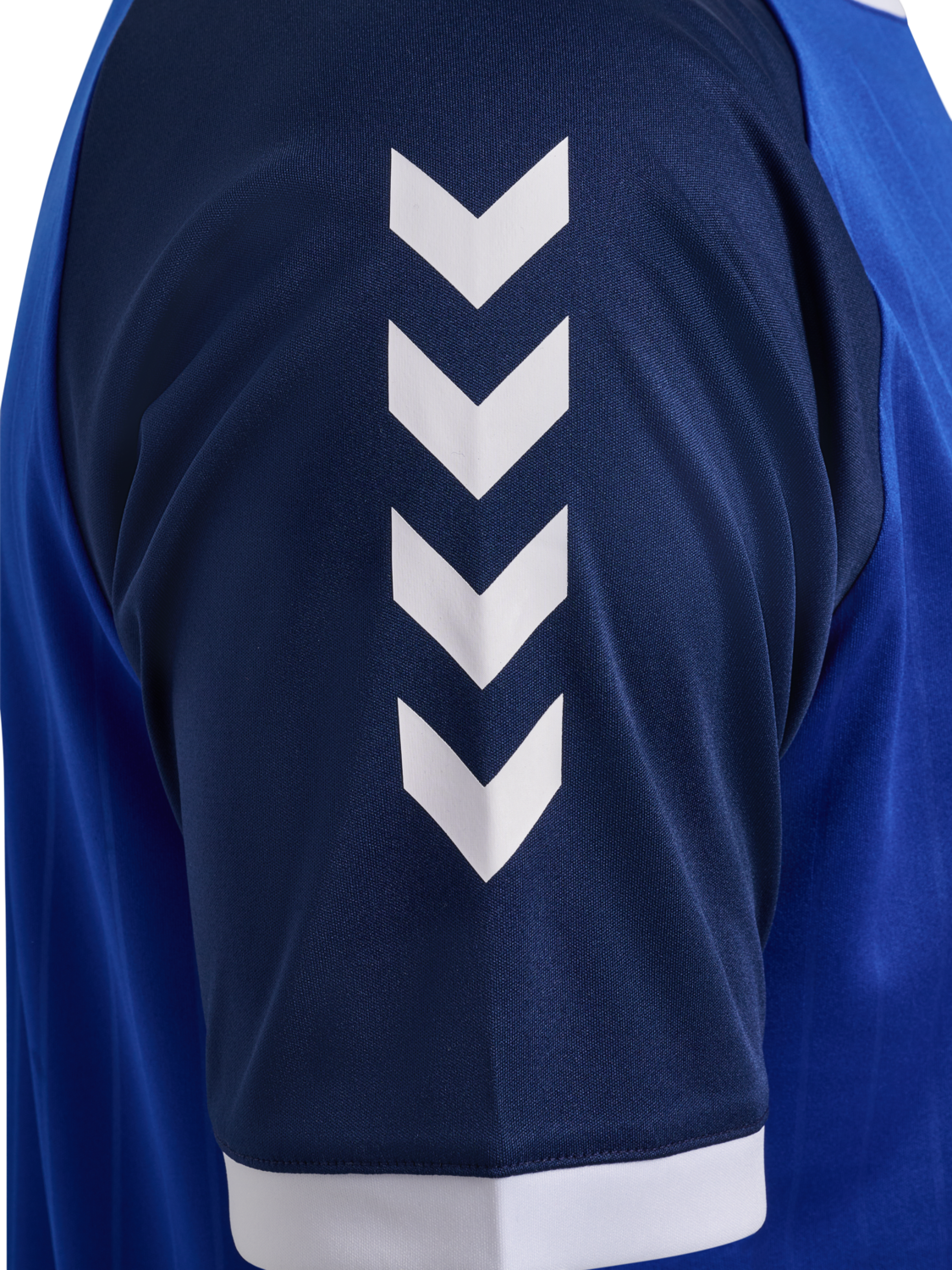 hmlPULSE STRIPE T-SHIRT S/S, SURF THE WEB, packshot