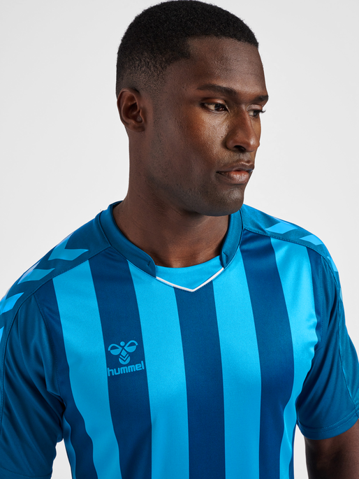 hmlCORE XK STRIPED JERSEY S/S, BLUE CORAL/BLUE DANUBE, model