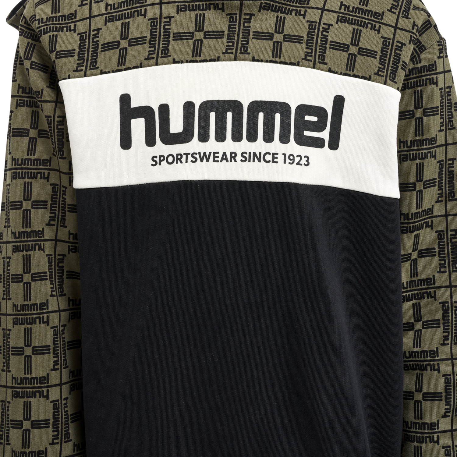 hmlCOLDEN HOODIE, 1929, packshot