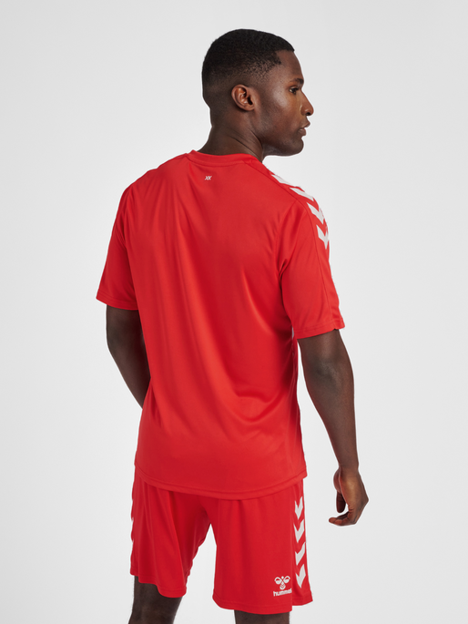 hmlCORE XK STRIPED JERSEY S/S, TRUE RED/WHITE, model