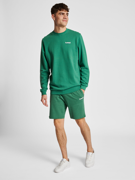 hmlLGC GABE SWEATSHORTS, 6110, model