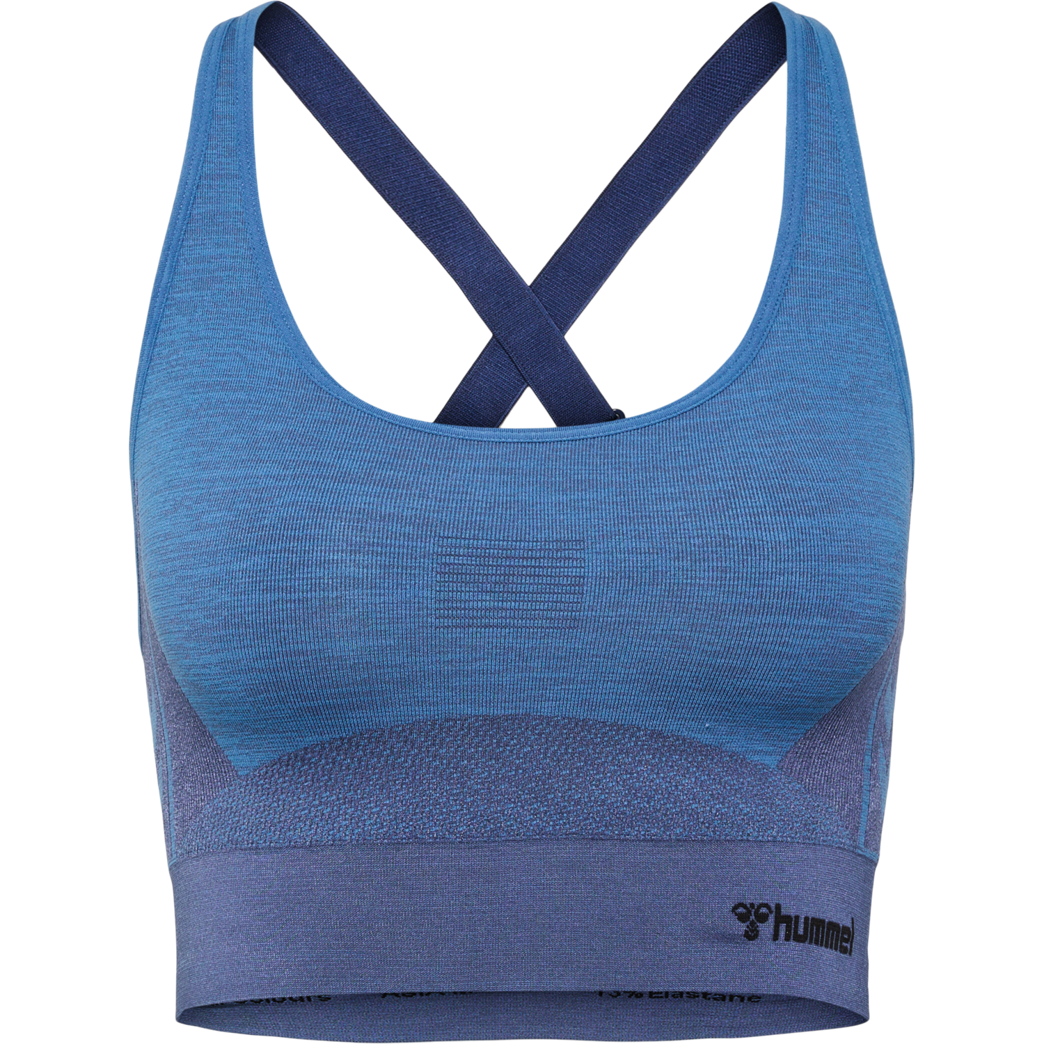 hmlCLEA SEAMLESS  SPORTS TOP, RIVIERA/INSIGNIA BLUE MELANGE, packshot