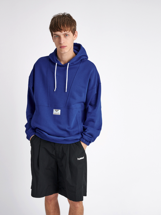 hmlHYGGE LOOSE HOODIE, 7956, model
