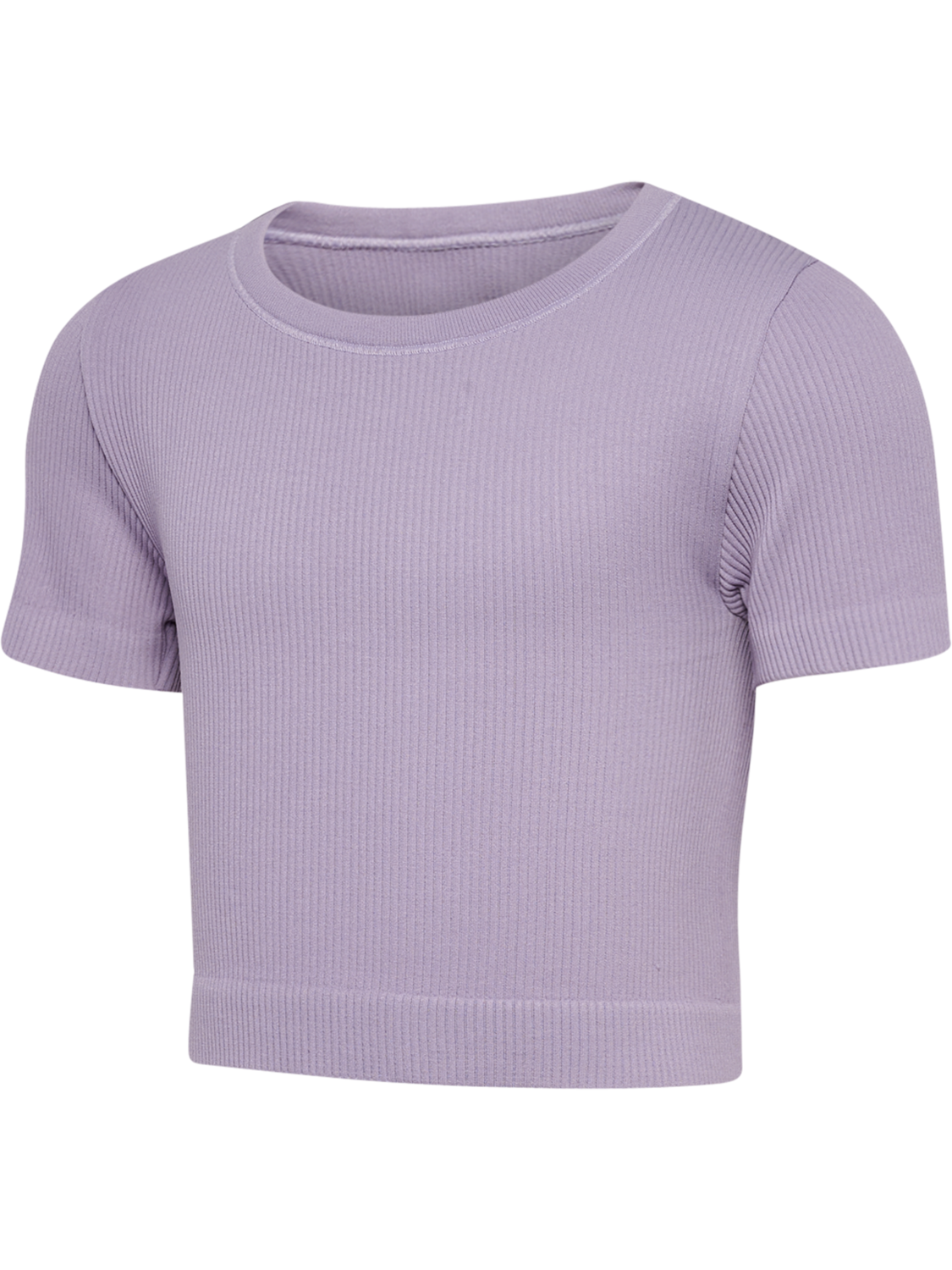 hmlJR SEAMLESS RIB T-SHIRT S/S, LAVENDER GRAY, packshot