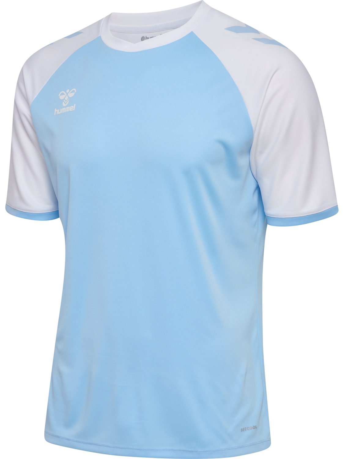 ARGENTINA BLUE/WHITE