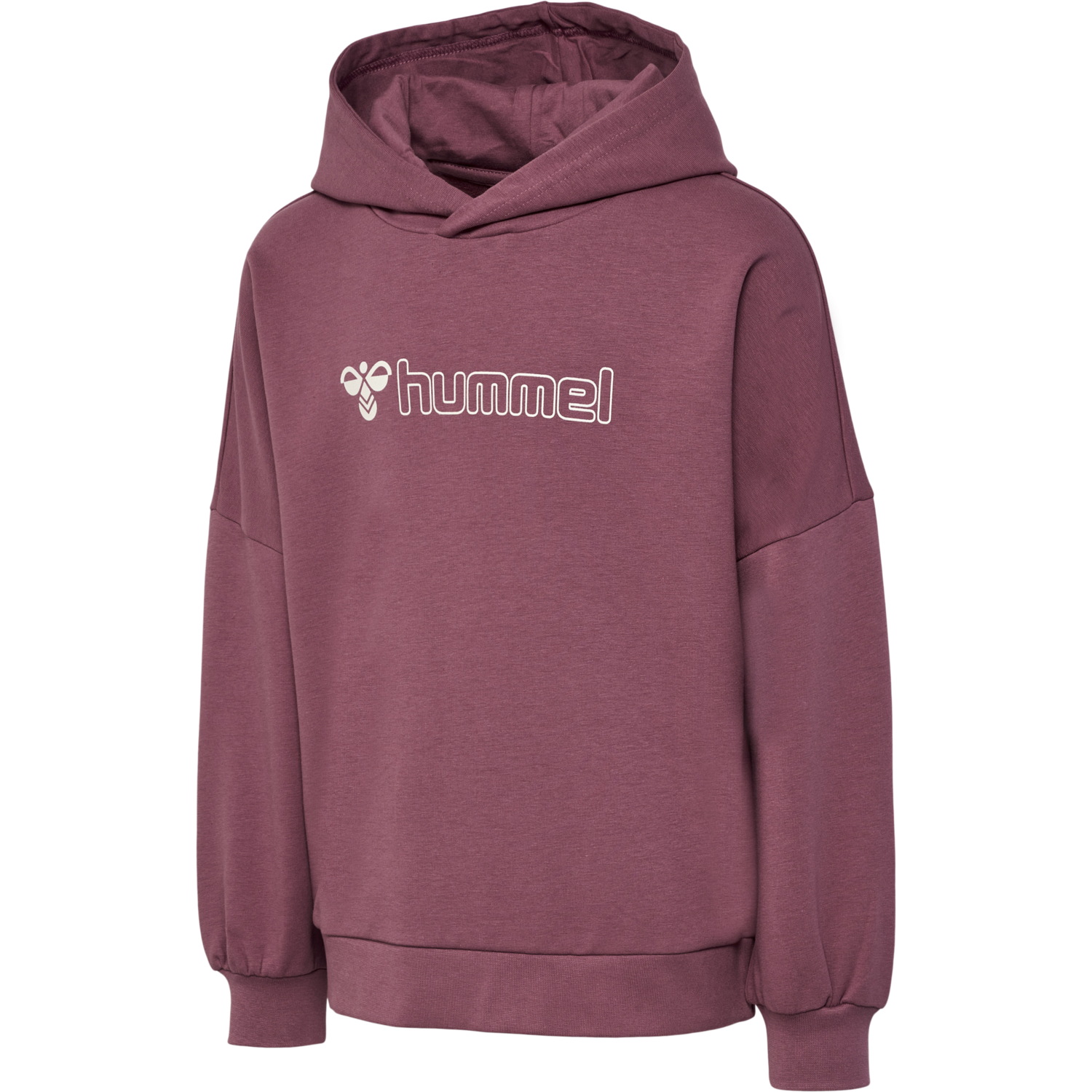 hmlOCTOVA HOODIE, ROSE BROWN, packshot
