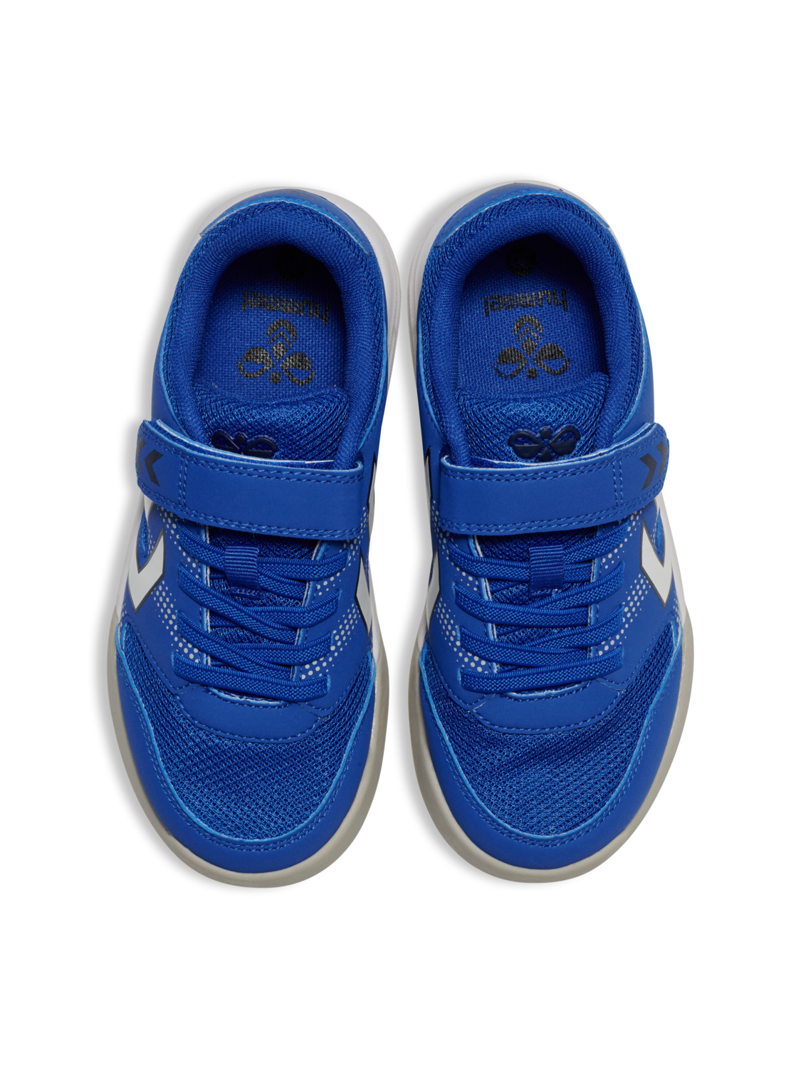 MULTIPLAY STABLE VC JR, SURF THE WEB, packshot