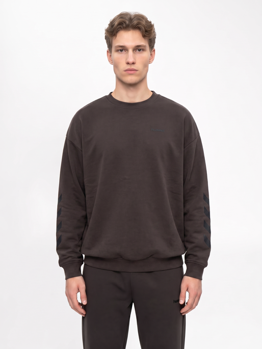 hmlKEEPER CHEVRON SWEATSHIRT, SHALE, model