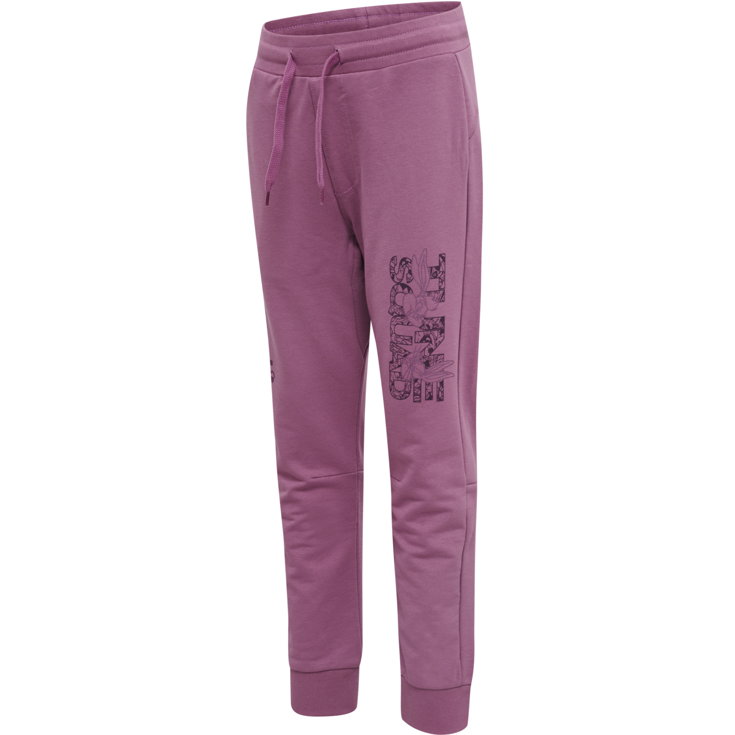 hmlSPACE JAM ON PANTS, BORDEAUX, packshot