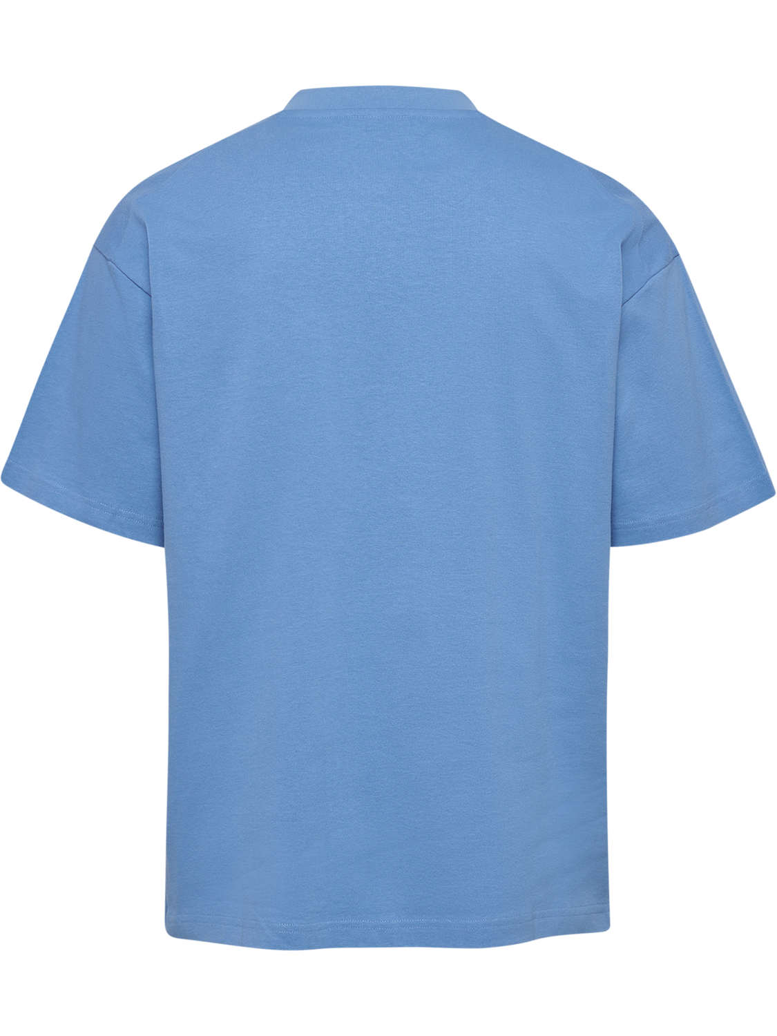 hmlLOOSE T-SHIRT S/S BEES STADIUM, LICHEN BLUE, packshot