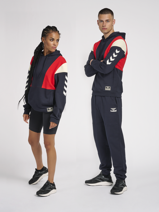 hmlWILLIAM BLOCKED HOODIE, 7381, model