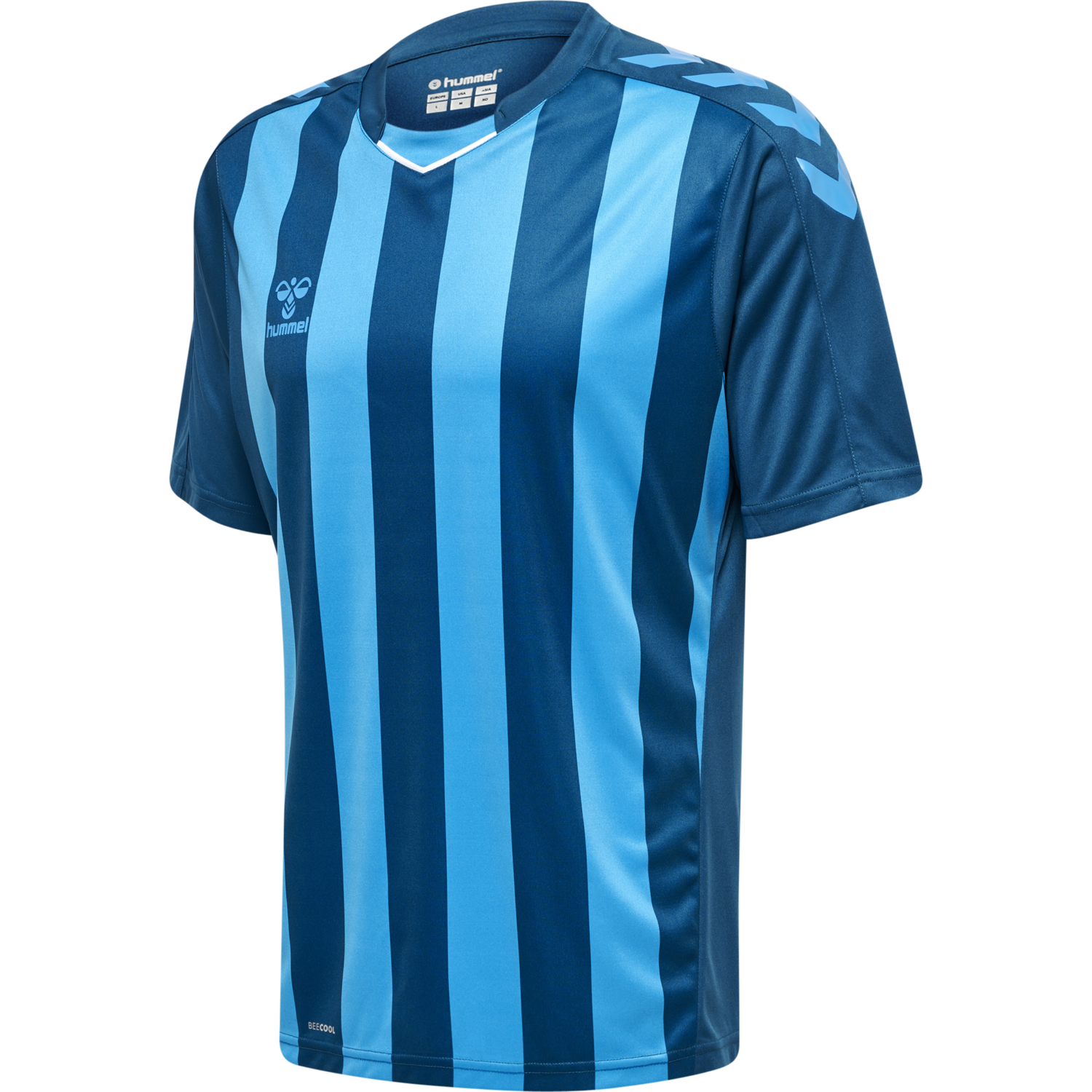 hmlCORE XK STRIPED JERSEY S/S, BLUE CORAL/BLUE DANUBE, packshot