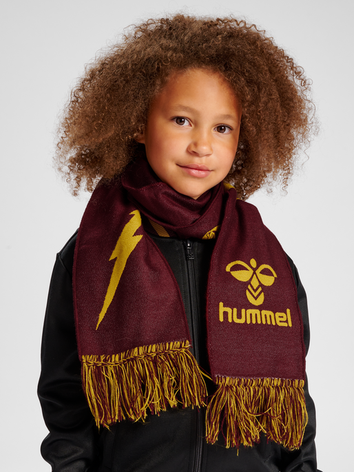 hmlHARRY POTTER SCARF, 3679, model