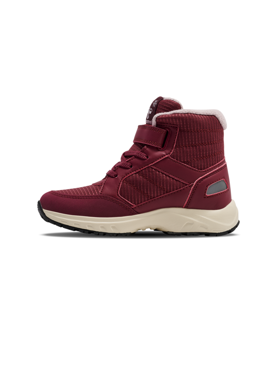 EXPLORER TEX, CHOCOLATE TRUFFLE, packshot