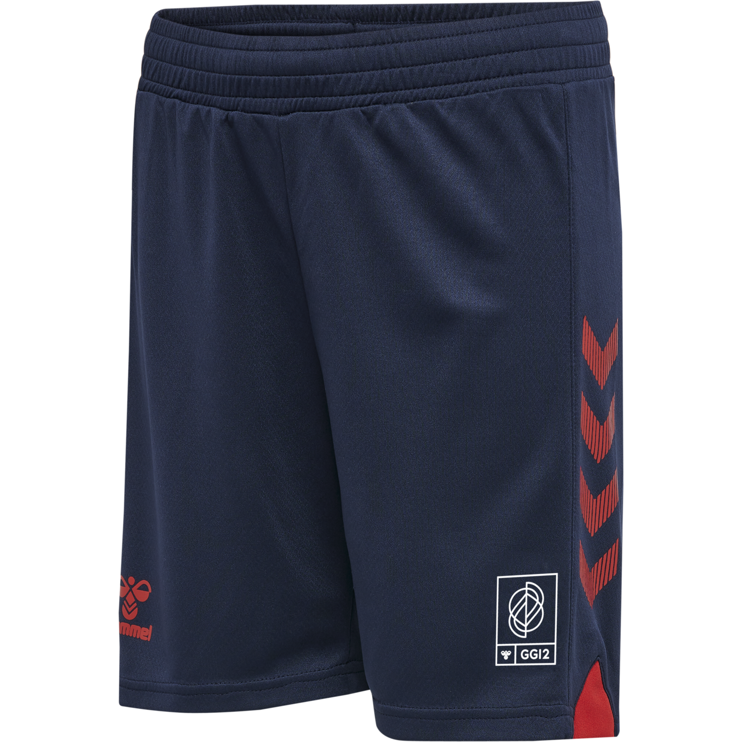 hmlGG12 ACTION SHORTS KIDS, 8388, packshot