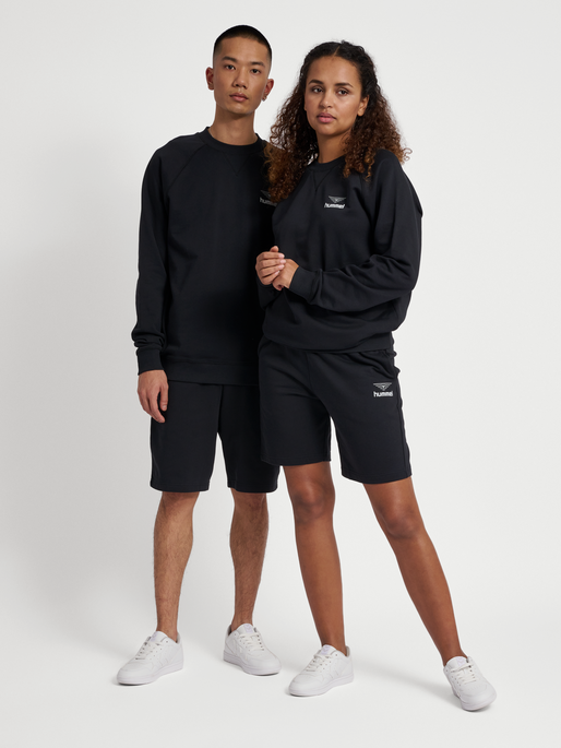 hmlHIVE WADE SWEATSHIRT, 2001, model