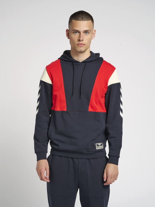 hmlWILLIAM BLOCKED HOODIE, 7381, model